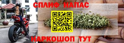 МДПВ Партизанск