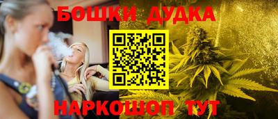 МДПВ Партизанск
