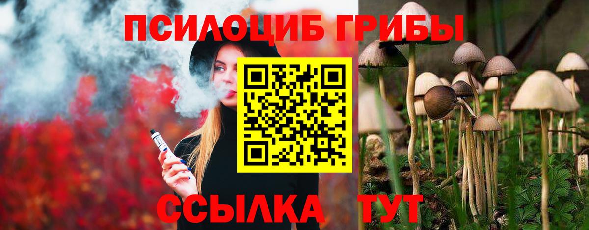 Северобайкальск  что такое наркотик  Вход с VPN  Галлюциногенные грибы GOLDEN TEACHER 